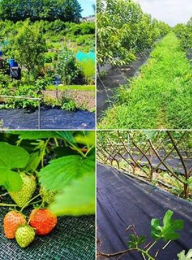Weed Control Membrane,Weed Control Fabric,Garden