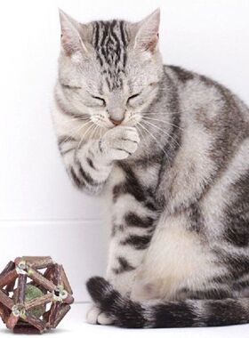 Small CuteCatnip Ball Cat Toys Interactive Toy For Kitten
