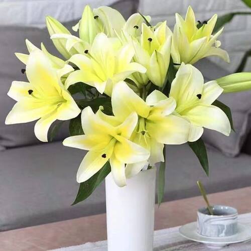 百合鲜花束云南基地直发康乃馨小雏菊香水家用养腊梅同城多头玫瑰 - 图2