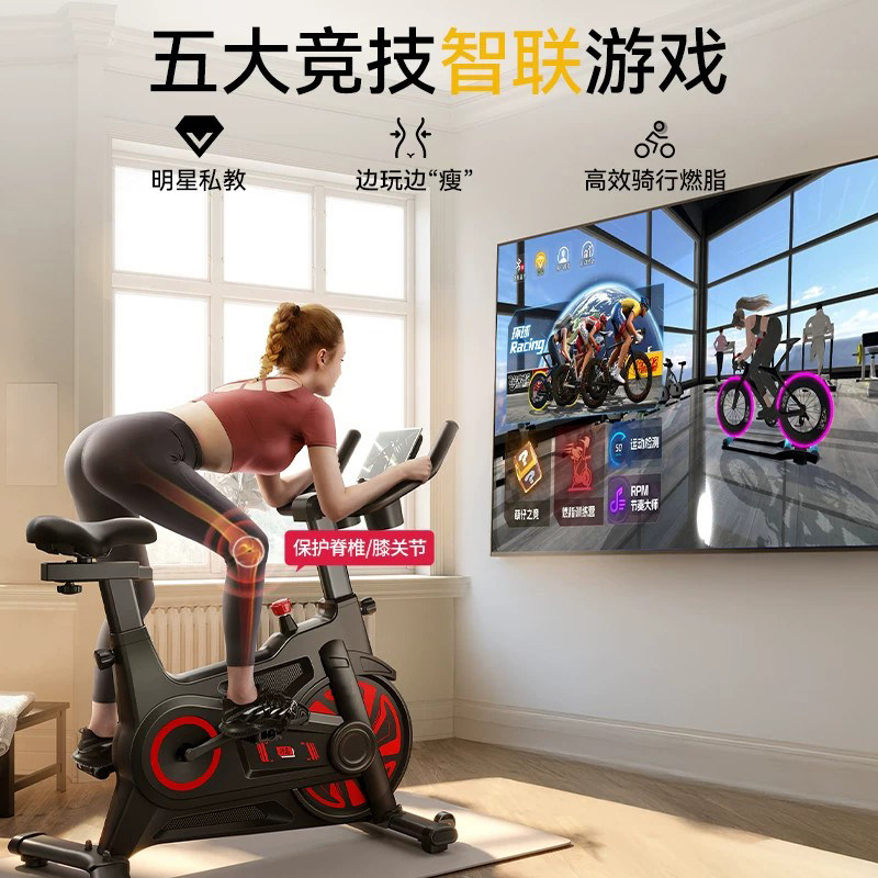 German smart magnetically controlled silent home spinning bike