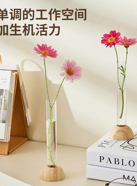 现代透明插花花器水培器皿试管装饰创意家居卧室桌面装饰花瓶摆件