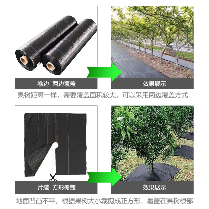 防草布除草布果园地布地毯地膜果树遮草布盖挡草大棚农用地钉新型 - 图1