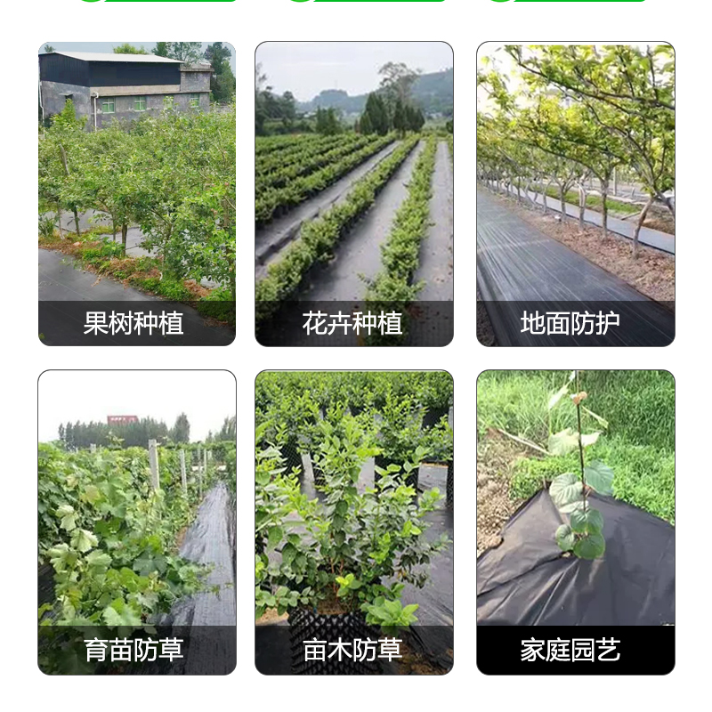 防草布除草布果园地布地毯地膜果树遮草布盖挡草大棚农用地钉新型 - 图0