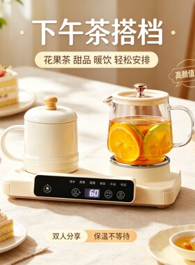 双座养生壶定制礼品养生壶送礼