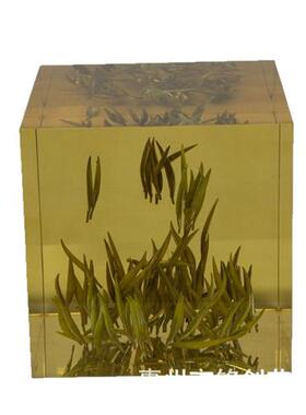 透明树脂摆件植物树脂内嵌永生茶叶方块现代居家书房办公室摆件
