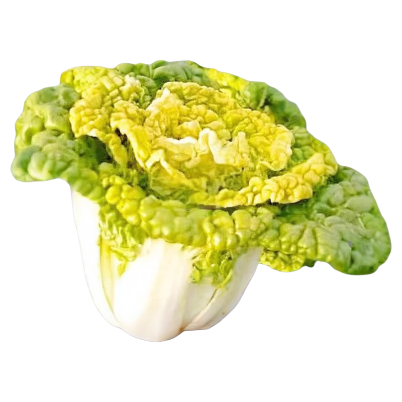 淮南黄心乌塌菜种籽菊花心菜秋季耐寒冬季蔬菜淮南雪里乌菜种子孑,淘宝优惠券,粉丝福利购,淘宝优惠卷