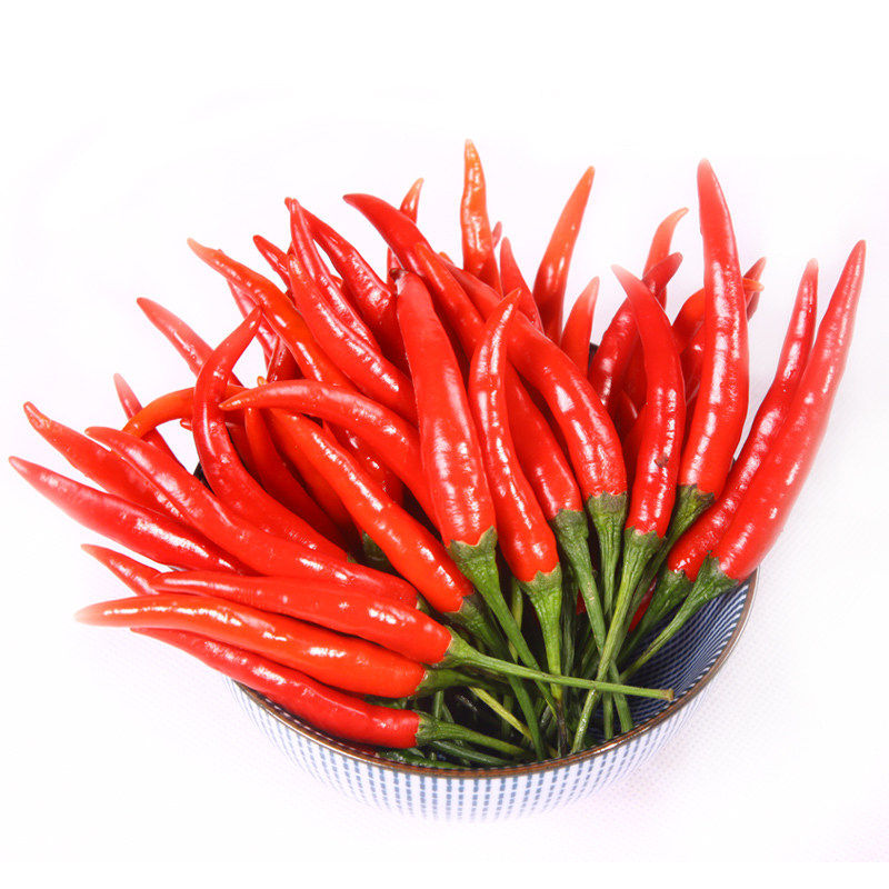朝天椒种子超辣小米椒青椒早熟辣椒种籽阳台盆栽四季农家蔬菜种孑,淘宝优惠券,粉丝福利购,淘宝优惠卷