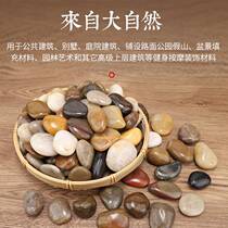 50 Catty Pebble Paving Ground Patio Natural Rain Flowers Stones Original Stone Landscaped Terrace Built View Sizes Goose Soft Warm Stones