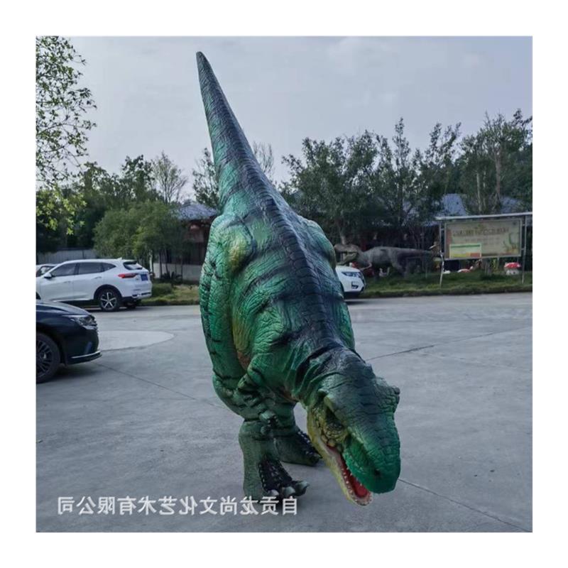 图5