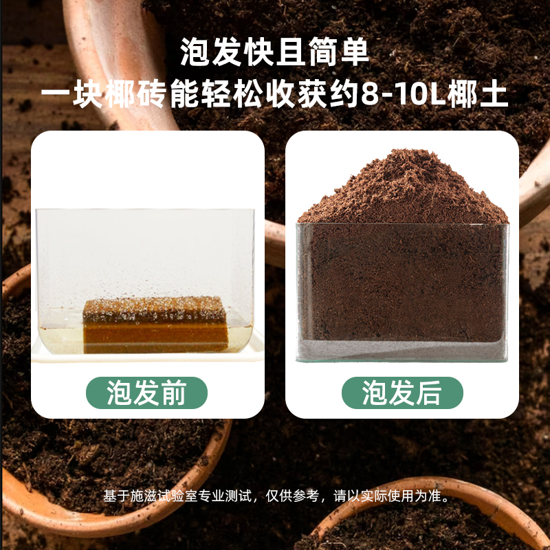 首单+签到！施滋通用椰土椰砖500g*2块