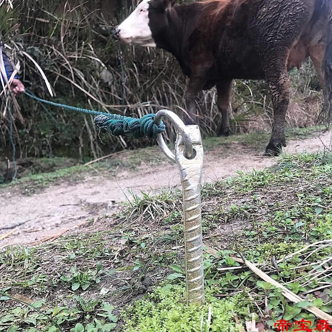 。T加长加粗大型犬用养殖牛马羊帐篷大棚螺纹栓拴狗桩地栓地钉地 - 图0