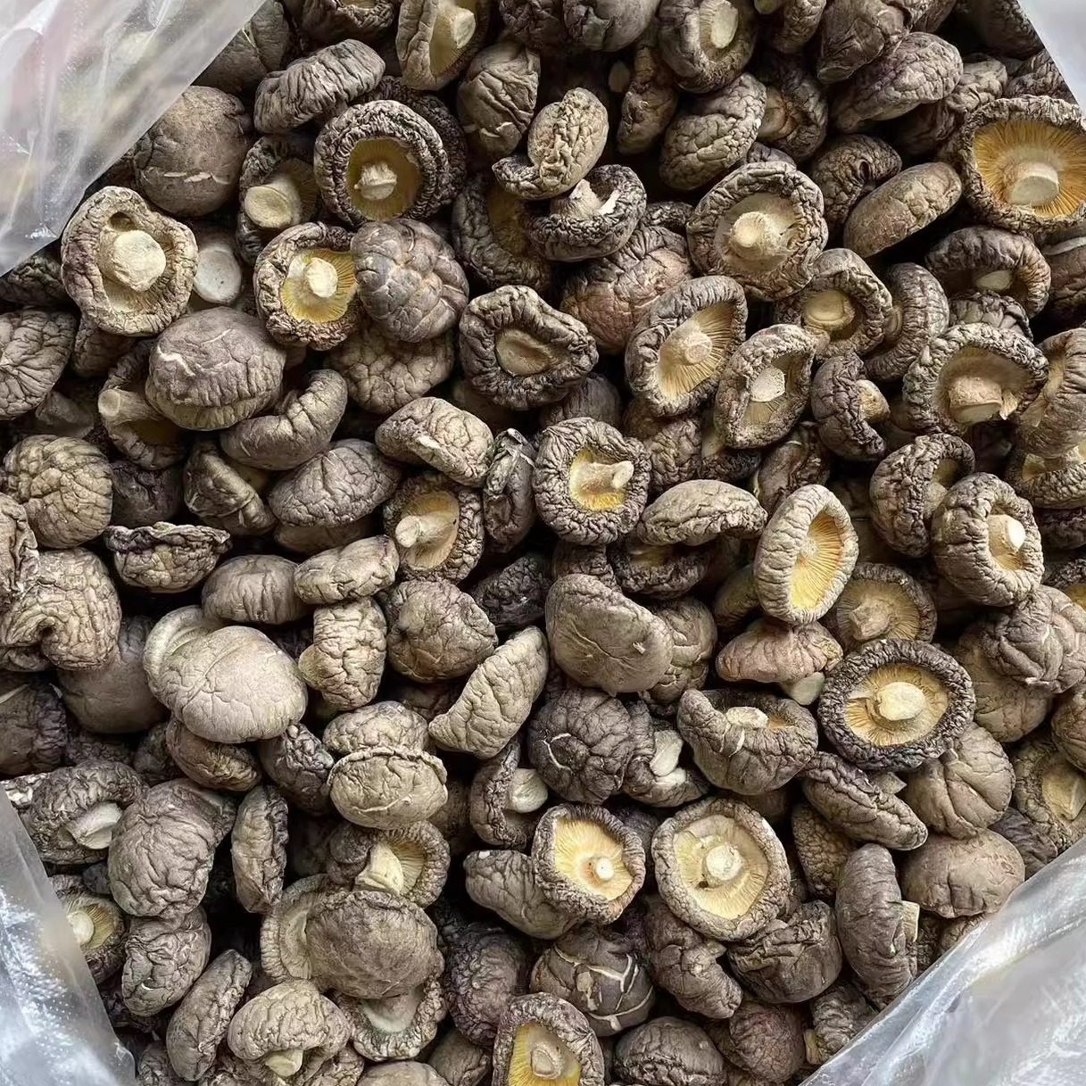 精选新鲜香菇干货一斤无干燥剂散装净重肉厚菌菇蘑菇非特级250g,淘宝优惠券,粉丝福利购,淘宝优惠卷
