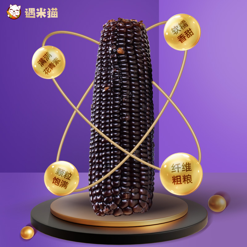 东北有机黑糯玉米棒新鲜采摘粗粮代餐软糯香甜黏嫩轻食代餐苞米棒