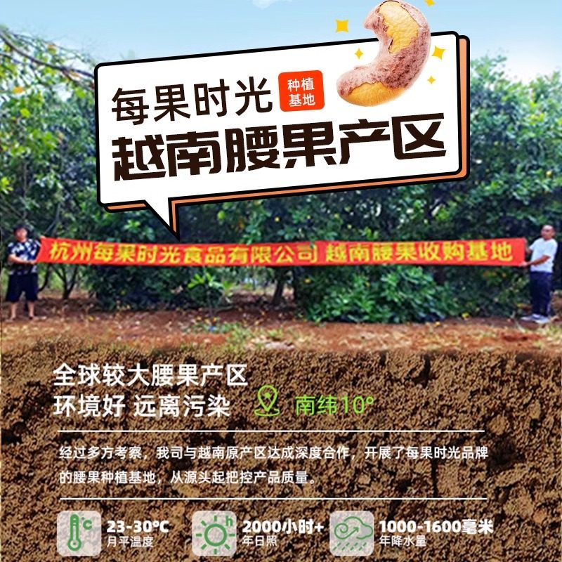 每果时光A170紫衣腰果仁新货原味盐焗带皮越南坚果孕妇年货零食,淘宝优惠券,粉丝福利购,淘宝优惠卷