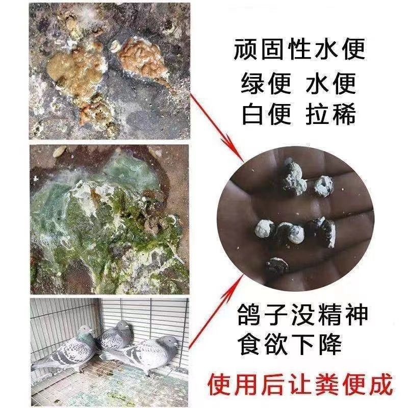 鸽用兑水鸟药新城疫沙门氏腺病毒鸽子专用药绿便鸽甩拉吐特效大全 - 图2