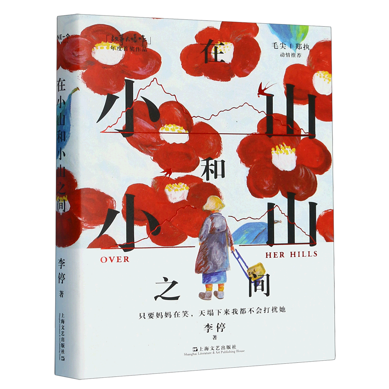 豆瓣2023读书榜单中国文学小说类5册 上海文艺出版 缓步班宇+晚春+雪春秋郑在欢+在小山和小山之间+白色绵羊里的黑色绵羊双雪涛