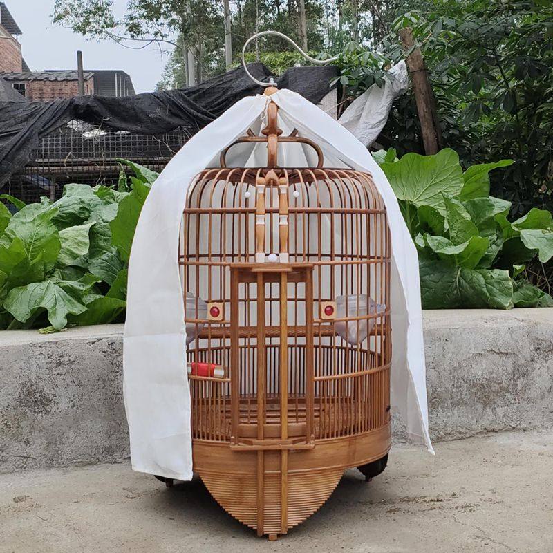 鳥籠製作全套- Top 50件鳥籠製作全套- 2023年8月更新- Taobao