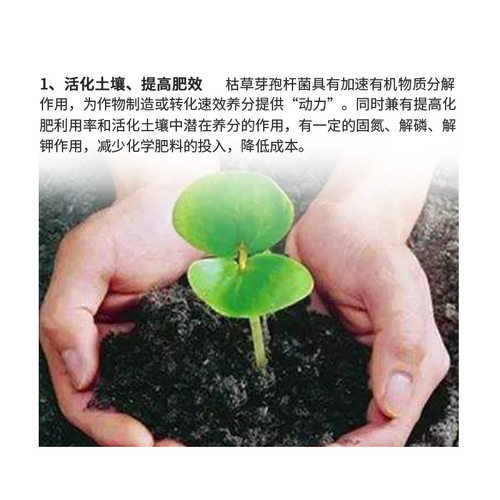 枯草芽孢杆菌农用微生物菌剂微生物菌肥土壤改良剂生物有机菌肥 - 图2