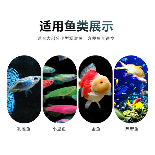 鱼虫干饲料鱼食金鱼水蚤干孔雀鱼热带鱼红绿灯锦鲤小型观赏鱼饲料 - 图2