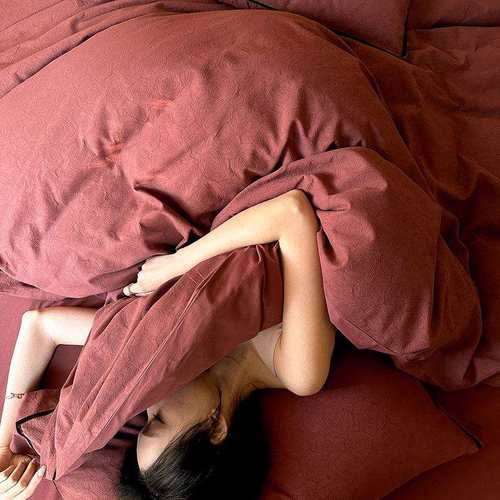 岁月经典提花浮雕全棉四件套加厚暗红色喜庆纯棉床上用品被套床单 - 图1