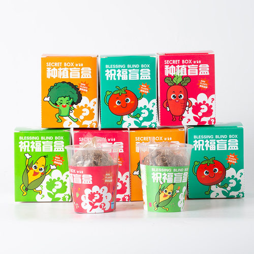 种植小盆栽花种子盲盒奖品开学小学生义卖小商品幼儿园小礼品礼物 - 图2