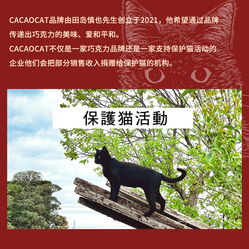 日本北海道CACAOCAT可可猫牛奶夹心可可巧克力白巧礼盒伴手礼铁盒