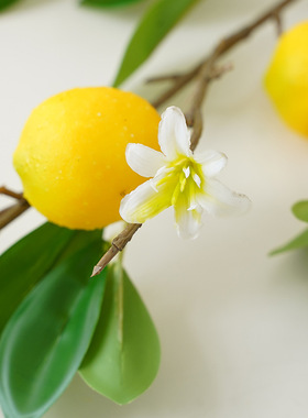 仿真多头柠檬果枝条绿植