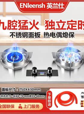 德国正品家用定时煤气灶双灶燃气灶天然气液化气台式嵌入式猛火灶