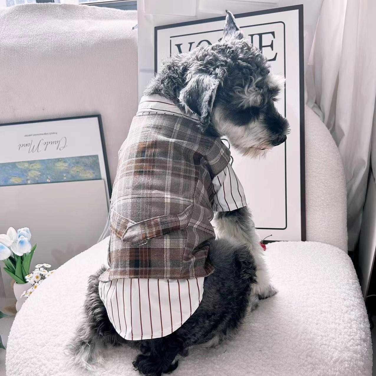 中小型犬狗狗猫咪泰迪比熊衬衫猫西装礼服宠物衣服狗用品泰迪服装,淘宝优惠券,粉丝福利购,淘宝优惠卷