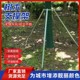 Support pole landscaping tree support support frame