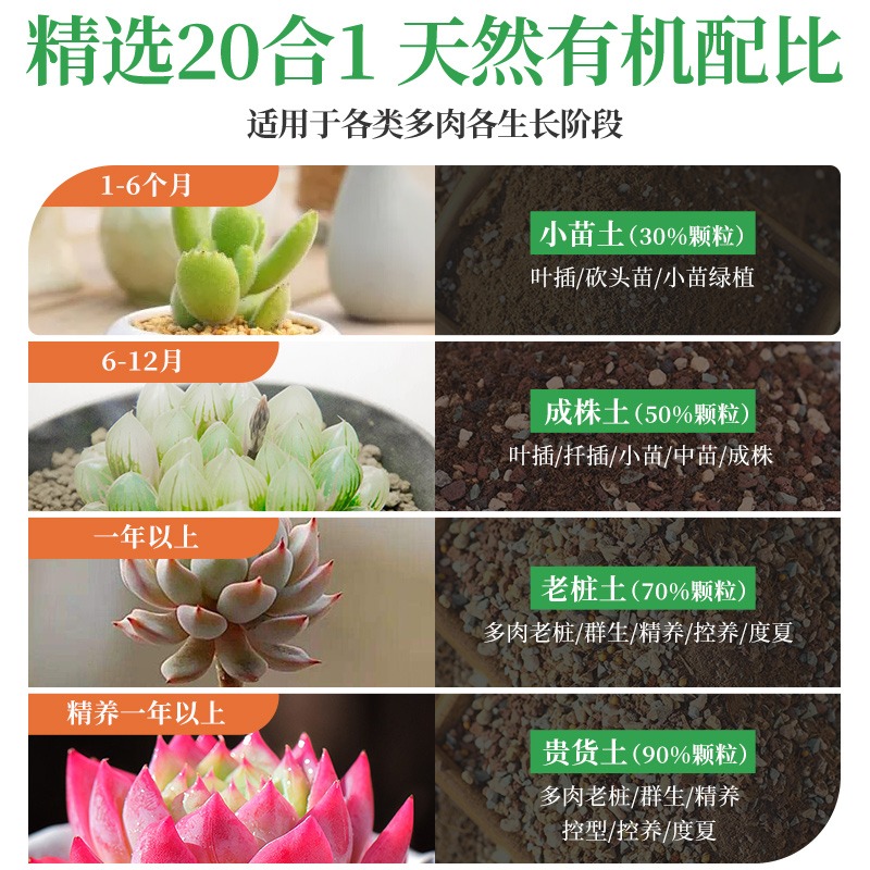 多肉营养土颗粒土养肉肉专用土壤种植土铺面石纯颗粒小苗老桩通用 - 图0
