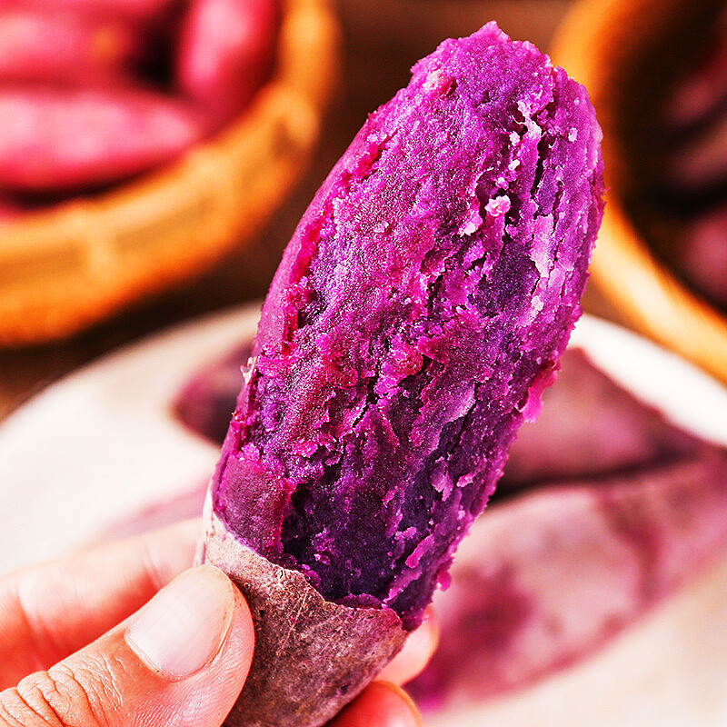 广西新鲜10斤现挖沙地板栗蜜薯番薯 黄六爷四季鲜番薯