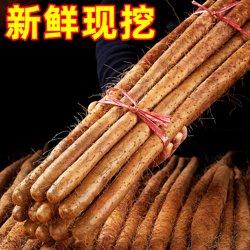 正宗河南垆土铁棍山药5斤新鲜蔬菜小白嘴怀淮山药官方旗舰店批发9