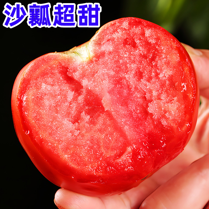 云南西红柿新鲜水果普罗旺斯沙瓤西红柿自然熟大番茄生吃草莓柿子