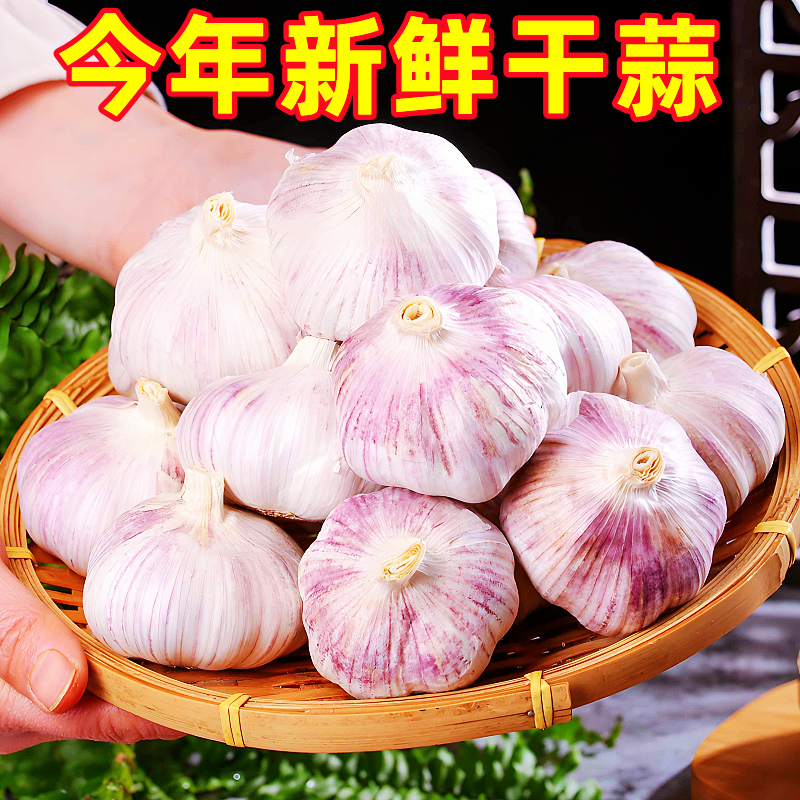 云南新鲜大蒜干蒜头5斤特大整箱紫皮大蒜多瓣蒜种子蒜批发10包邮