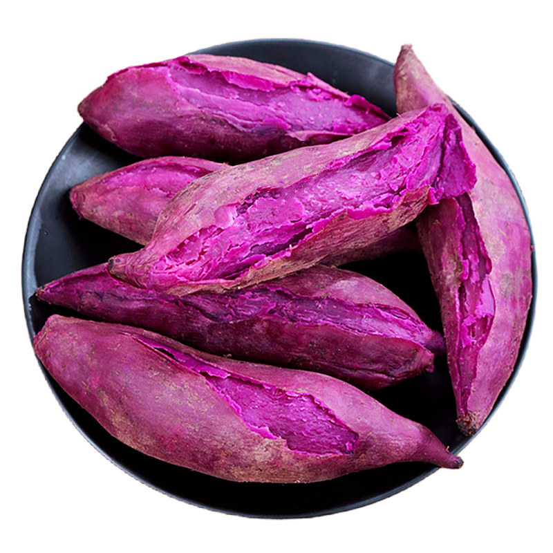 广西新鲜10斤现挖沙地板栗蜜薯番薯 黄六爷四季鲜番薯