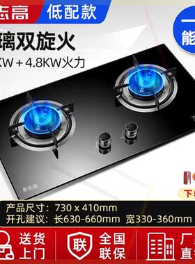燃气灶猛火双灶煤气灶天然气灶液化气大火台式嵌入式JZT-BZ