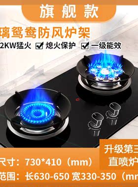 燃气灶家用双灶天然气煤气灶液化气猛火灶嵌入式台式JZT-GA