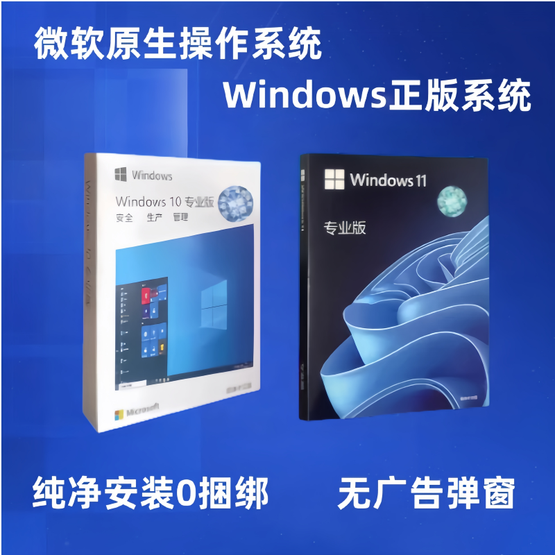 win11专业版64位u盘系统装机电脑win10中英日文繁体简包工作站版 - 图3