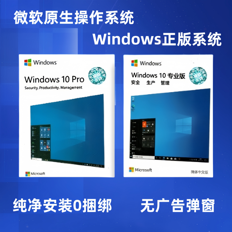 win11专业版64位u盘系统装机电脑win10中英日文繁体简包工作站版 - 图0