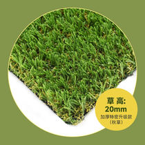 Co-Building Lawn Co-Building Artificial Lawn Rug Emulation Turf Kindergarten Gym Gym Yard School Football Pitch Fake