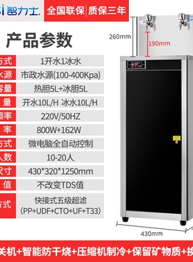 智力士校园商用直饮机工厂饮水机