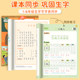 Eight-in-one practice calligraphy book for grades 1-6, upper and lower volumes, People's Education Edition synchronized copybook for primary school students, dedicated for first grade, second grade, third, fourth, fifth and sixth grade, dot matrix practice book, Chinese words and beautiful sentences, accumulation and stress reduction