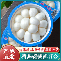 Shunfeng) Lanzhou lily fresh sweet 125g bowl loaded with high edible large slice of nine-year special grade non-lily dry