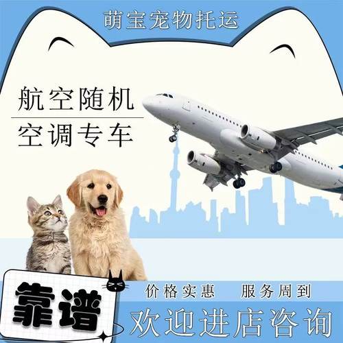 宠物托运猫咪狗狗自营专车宠物托运邮寄运输服务安全快捷宠物托运 - 图0