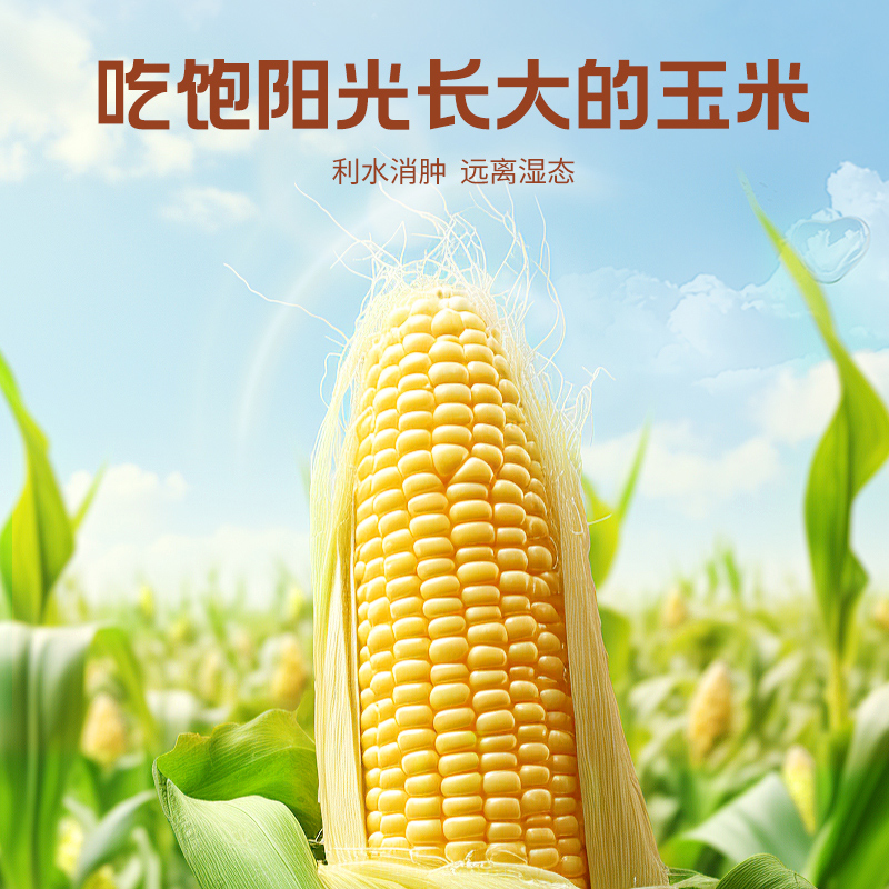 纯粒路易波士茶可以喝的SOD宝藏茶