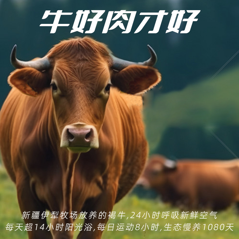 艾尼大叔手撕500g礼品装风干牛肉干 艾尼大叔食品牛肉类