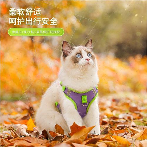 Undershirt Dog Leash Cat Small Dog Teddy Chest Carrier Puppy-图1