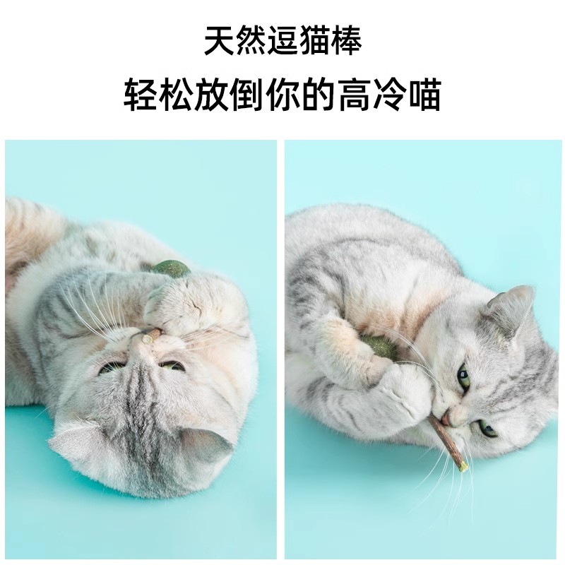 猫薄荷球棒棒糖逗猫咪舔舔乐猫玩具木天蓼磨牙棒洁齿猫草猫咪零食 - 图2