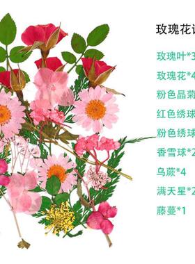 树叶粘贴画枫叶幼儿园标本手工diy梧桐叶银杏叶压花植物书签叶子